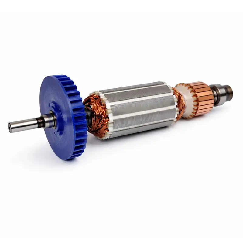 RUPES Rotor LHR21 Favoriet
